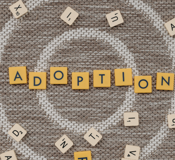 Understanding Closed Adoption: A Comprehensive Guide for Birth Parents and Adoptive Families